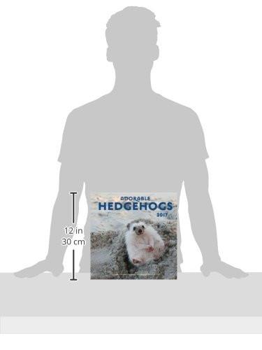 Adorable Hedgehogs 2017: 16-Month Calendar September 2016 through December 2017