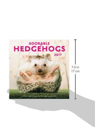 Adorable Hedgehogs Mini 2017: 16-Month Calendar September 2016 through December 2017