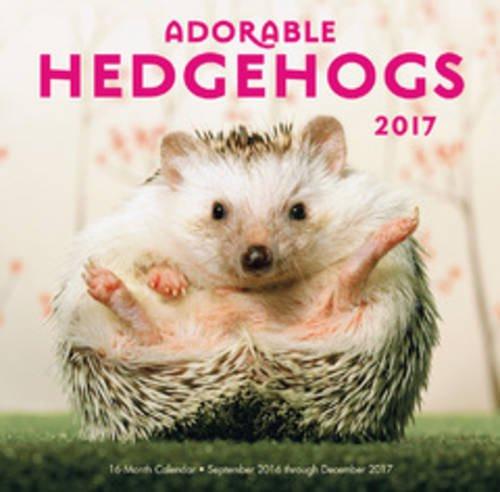 Adorable Hedgehogs Mini 2017: 16-Month Calendar September 2016 through December 2017